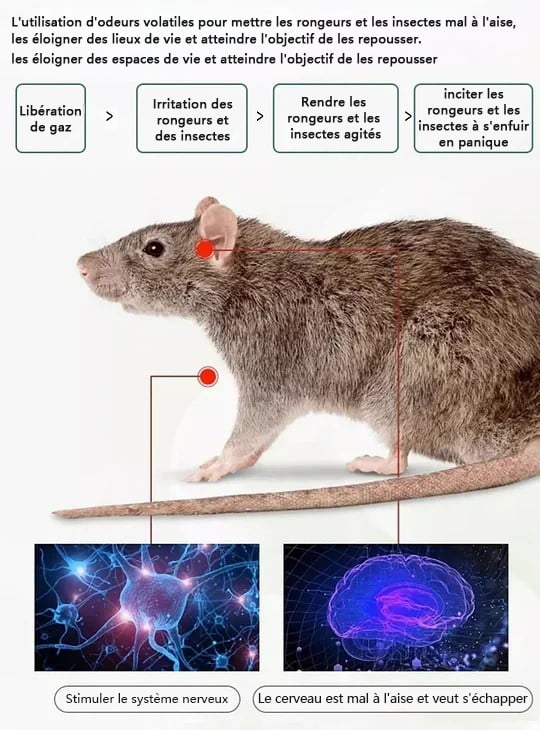 Pilules répulsives contre les insectes (rats,cafards,souris,serpent,scorpion,fourmis,araignée..)